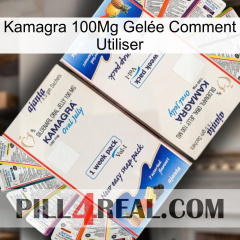 Kamagra 100Mg Gelée Comment Utiliser kamagra1